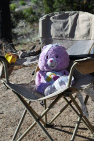 Care Bears like camping, too!